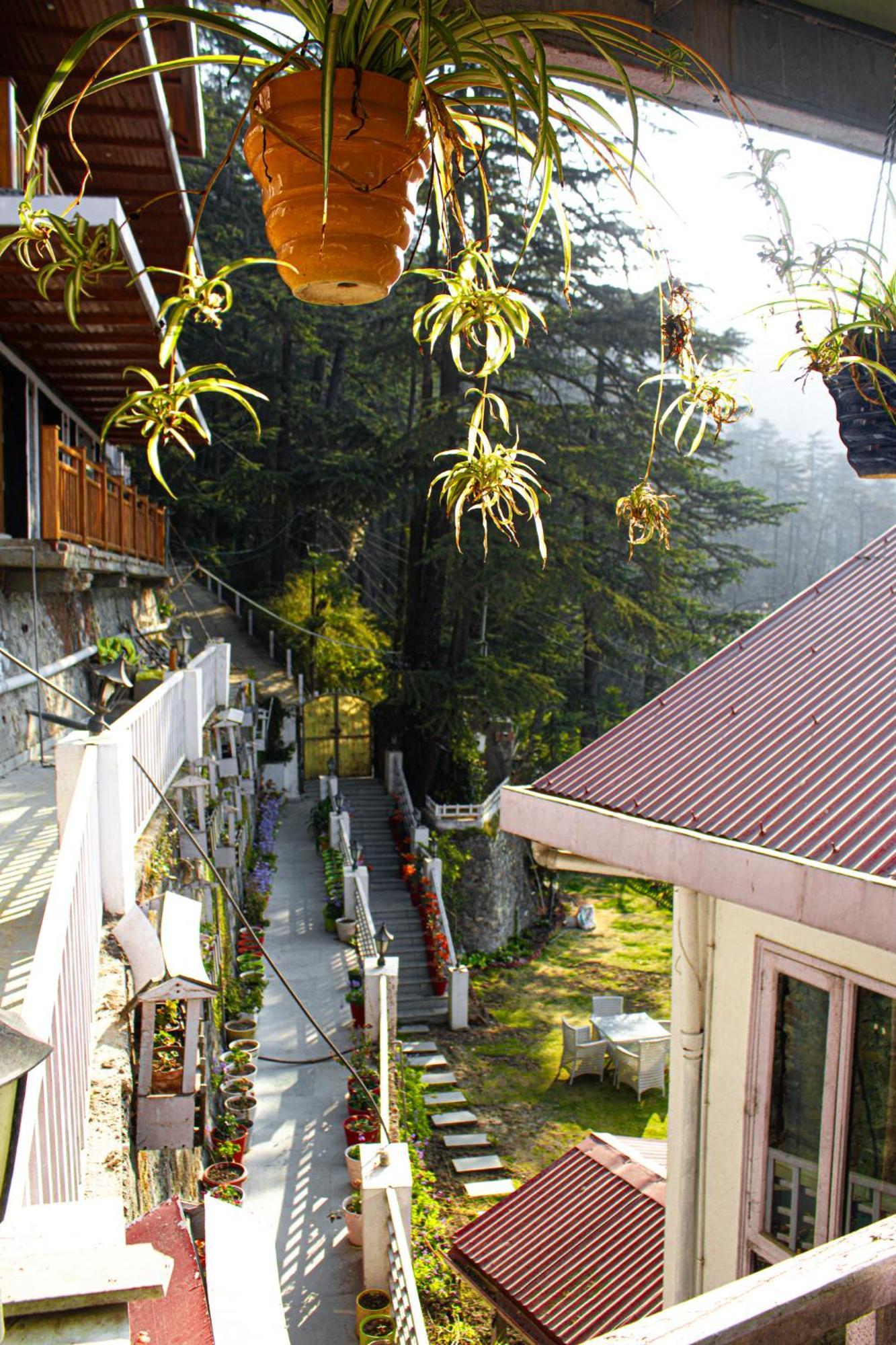 Whispering Pines Villa Shimla Exterior photo